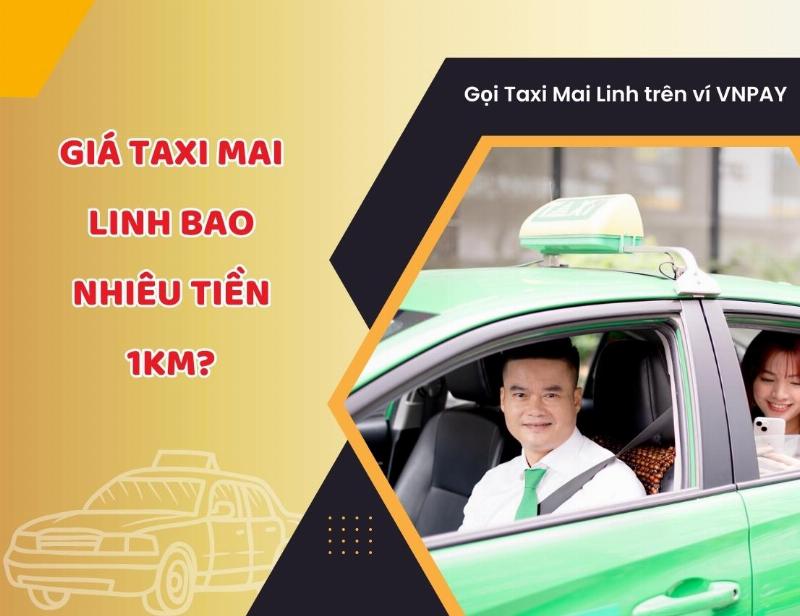 Bảng giá taxi Mai Linh Xuyên Mộc chi tiết